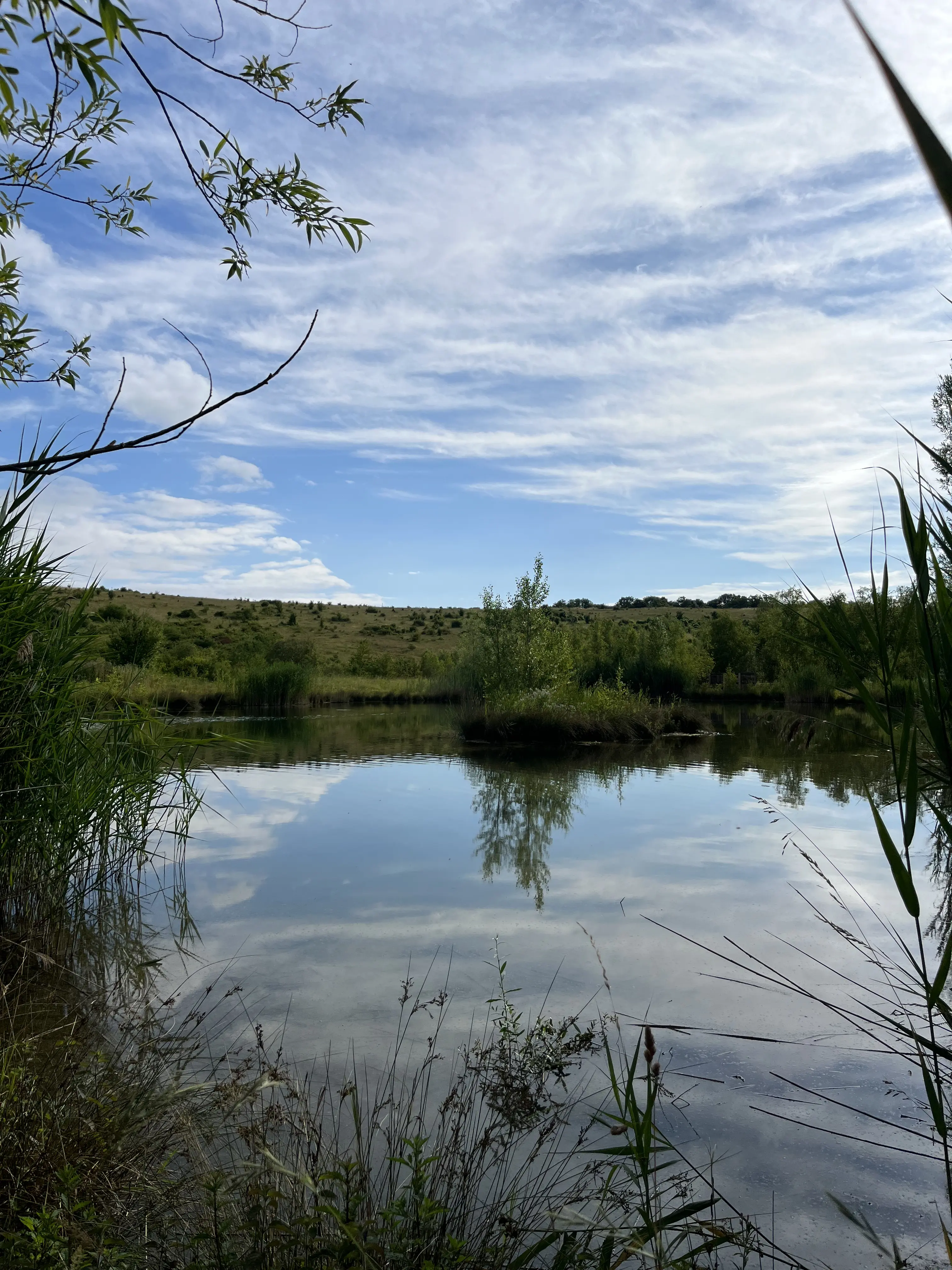 Programme de gestion des espèces exotiques envahissantes au sein d'une RNR
